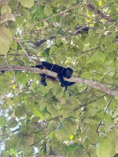 Perla Dreamy Cabin with Private Pool - 8