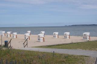 Kastanienallee - ABC66 - 2