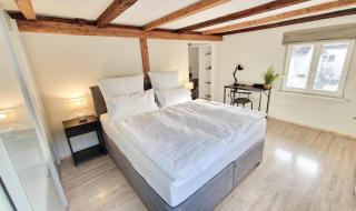 1F Good connection to Frankfurt city, fair&airport - 6