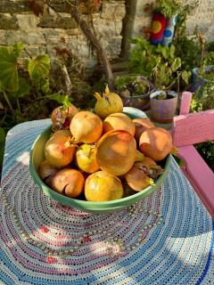 Morfeas Guesthouse - 8