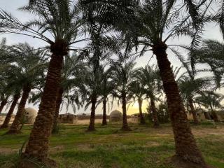 The Garden Under The Moon - 7