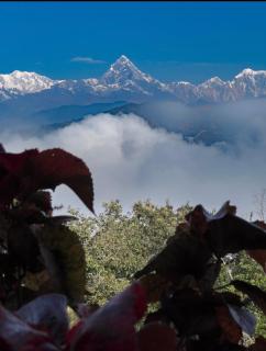 Hotel Lekhnath View Tower and Eco Farm - 3