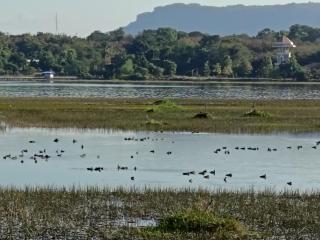 ชมวิว บึงโขงหลง - 5