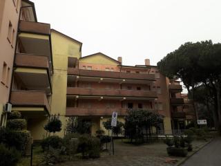 2 Bedroom Apartment in Viale dei Pini - 5