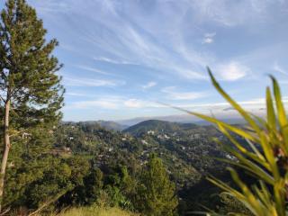 Ella T & D Resort - 2