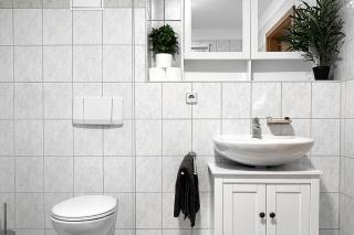 Hilbersdorfer, App 120 - 1