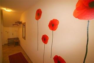 Stranddüne, D19 - 1