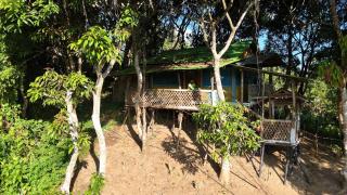 Dhupchaya Nature Retreat - 4