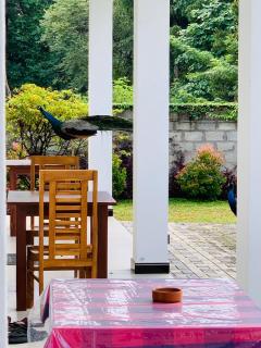 White Shine Hotel - 9