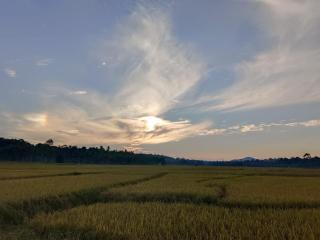 Kalidasa Tree House and Villa, Wayanad - 5