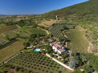 Domaine le Bourdet - Saint-Sauveur-de-Cruzières - 3