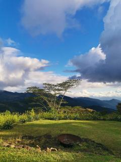 The Trogon Knuckles - 0