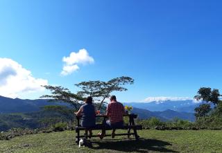 The Trogon Knuckles - 4