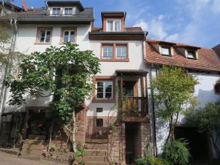 Historisches Ferienhaus Veste Dilsberg - Neckargemünd - 0