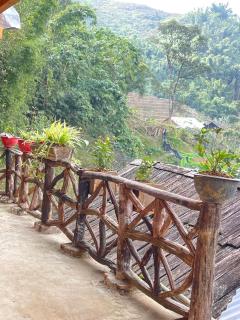 Local Homestay - 5