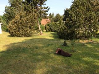 Am Walde Wooster Teerofen Komfort - 1