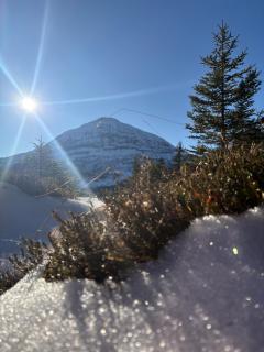 Haus Bergfrühling - 2