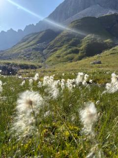 Haus Bergfrühling - 5