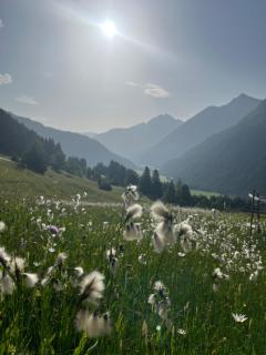Haus Bergfrühling - 6