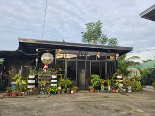 J Novotny Transient House - 6