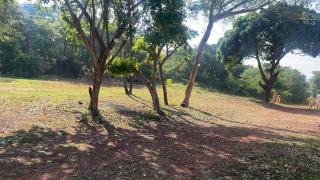 Natures Nest In Marine Gardens - 4