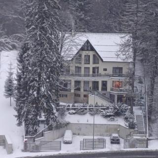 Vila Cristalfrost - 8