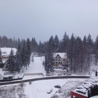 Vila Cristalfrost - 9