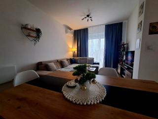 Apartman Srećko Lux - 9