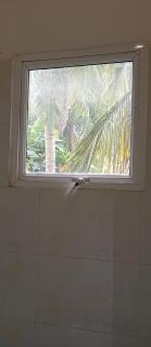 Wings Hotel & Hostel - 6