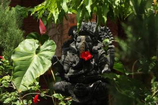 Ananda House - 8
