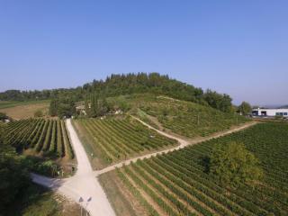 Agriturismo Lucciano - San Casciano in Val di Pesa - 1