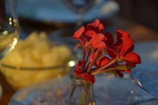 Podere Del Gesso - 1