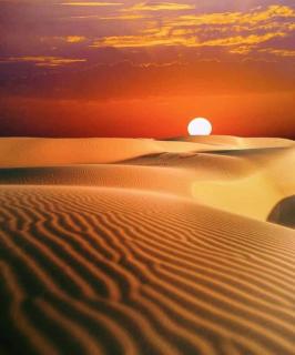 Jaisalmer Villa Resort & Camp Jaisalmer - 3