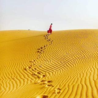 Jaisalmer Villa Resort & Camp Jaisalmer - 4