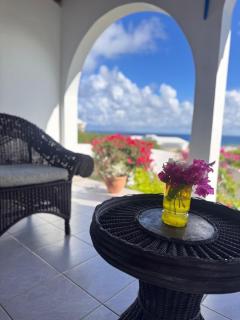 Anguilla quiet spacious House beautiful views 3Bed - 7