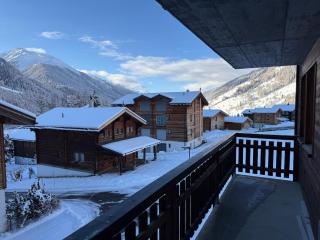 Alpine Lodge Münster VS moderne Eigentumswohnung - 0