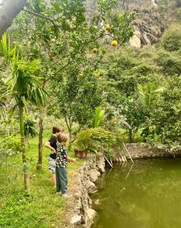 Peaceful Garden Tam Cốc - 2
