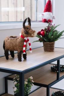 Modern 4BR Home in Peaceful White Rock Community - 5