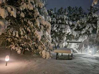 Siedlisko Janopole - 8