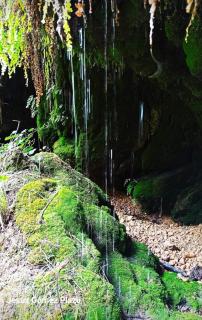 Casa de Baba Yaga - 3