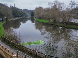 Luxury Doncaster Cottage - Free Parking - Sprotbrough - 1