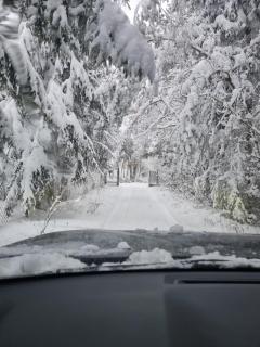 Siedlisko Janopole - 4