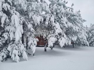 Siedlisko Janopole - 0