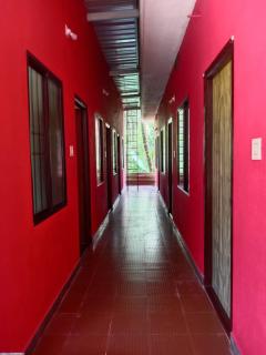 Dream house homestay - 0