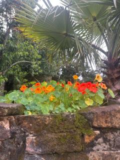 Ouma se Plaashuis - Martine se kamer - 5