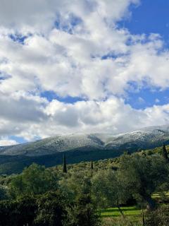 Alexander's Heavenly Home - 8