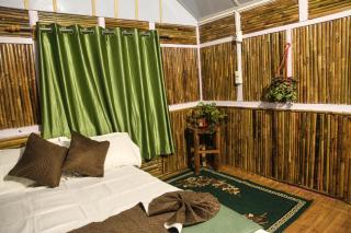 Terra Mist by Terra Stays - 5