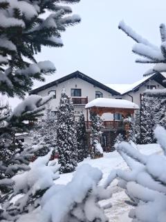 Vila Alpina Maramureș - Moisei - 0