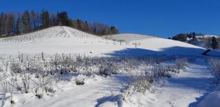 Bioferienhaus Muster - Dominkusch - Pössnitz - 5