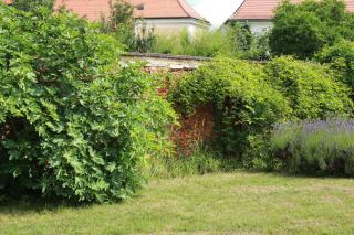 Wohnen im Meierhof - 3